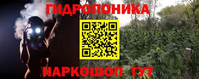 круглые Гатчина