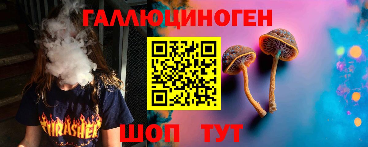 Галлюциногенные грибы прущие грибы  Вход с VPN  Заинск 