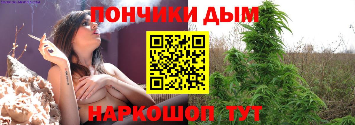 Заинск  Каннабис конопля  Вход с VPN  Бошки марихуана SATIVA & INDICA 